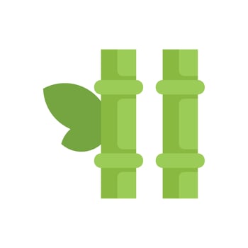 Green bamboo stalks growing with leaves in flat design vector