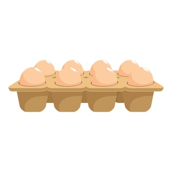 Cardboard egg tray holding eight chicken eggs vector