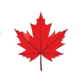 Red color maple leaf a signature autumn. Illustration design on white background. vector