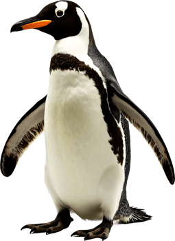 Adorable Penguin on Display png