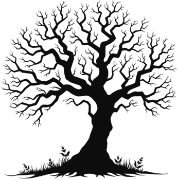 Spooky Leafless Tree with Twisted Branches png