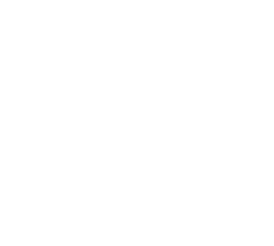 Elegant White Snowflake illustration. png