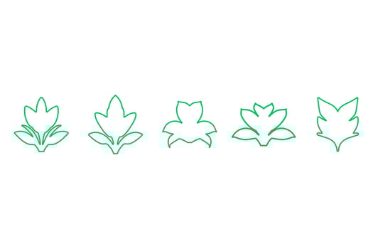 Botanical flower outline design set. Decorative floral icon vector