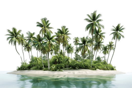 Tropical island with lush greenery and palm trees surrounded by clear blue water, perfect for vacation and relaxation themes. png