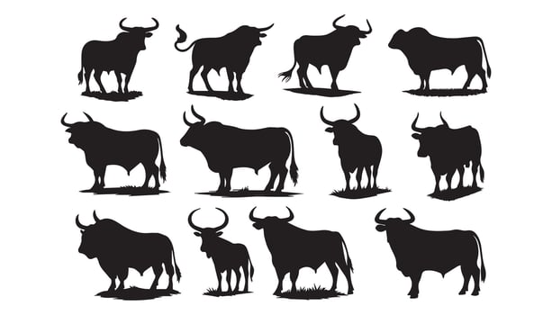 Silhouette of a cows vector