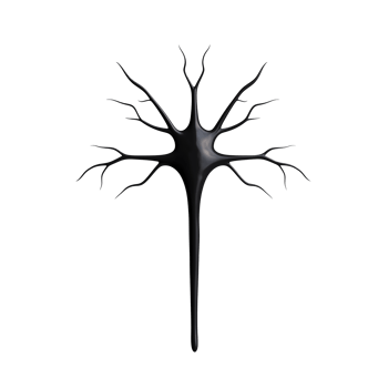 Black neuron cell illustration with branching dendrites, depicted on a transparent background. png