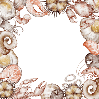 Seafood background Watercolor frame. Hand drawn shrimp, lobster, crab, clams, salmon for design for business card, menu. Mediterranean diet. Variety elements food in doodle style. png