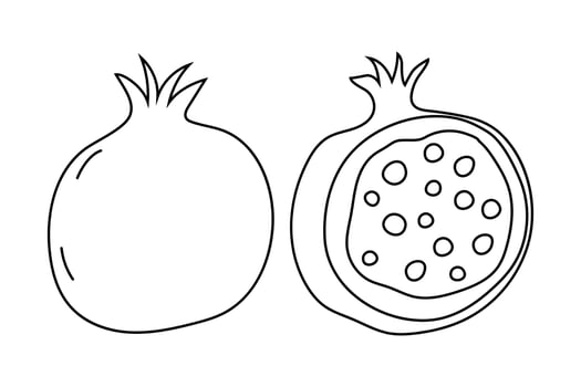 Pomegranate illustration showing whole fruit and its detailed inner structure cut in half vector
