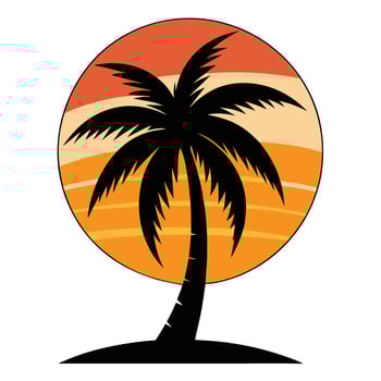 palm tree silhouette with sunset background vector