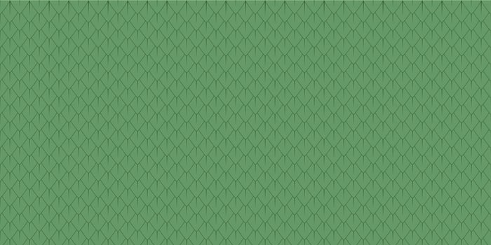 Dragon scale seamless pattern. Reptile and snake squama. Background of fish and mermaid scales. Simple abstract seamless pattern of dragon or dinosaur skin. vector