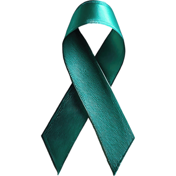 Ribbon bow teal cervical cancer awareness png