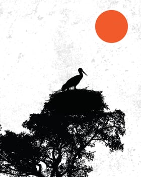 silhouette illustration of a stork vector