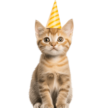 Cute kitten wearing a party hat, isolated on transparent background. png