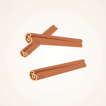 Cinnamon sticks illustration vector