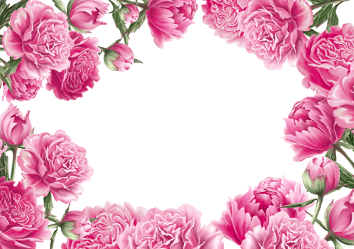 Lush banner of blooming Garden flowers with copy space png