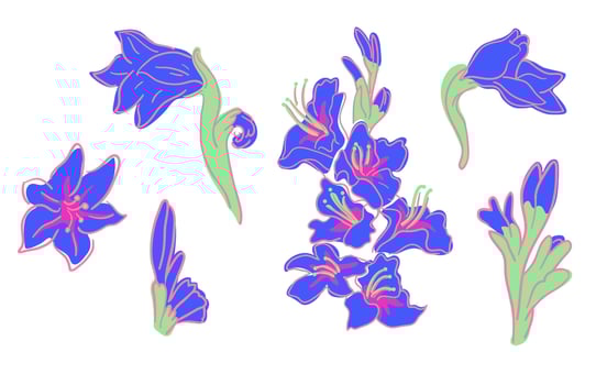 set of blue gladiolus vector