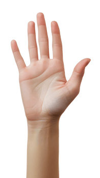 A hand is shown with a palm open png