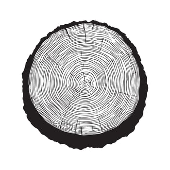 Intricate Circle Wood Slice Clipart for Scrapbooking vector