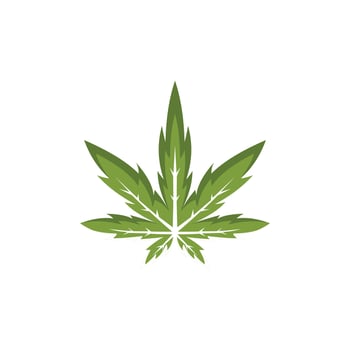 green cannabis leaf logo icon vector