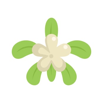 White frangipani flower surrounded by green leaves vector