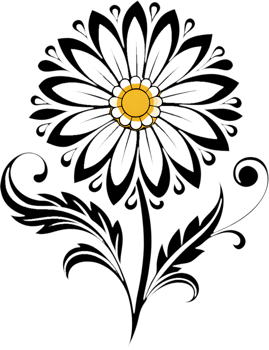 Beautiful Daisy Blooms Clipart for Natural Designs. . png