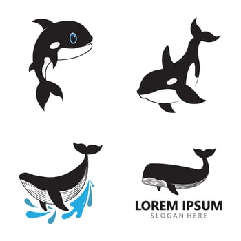 set Orca Killer Whale Logo Icon flat design vector