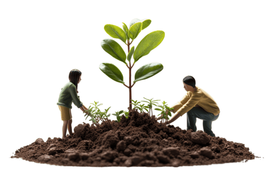 Two people are planting a tree in the dirt. The man is kneeling down and the woman is standing up. The tree is small and green png
