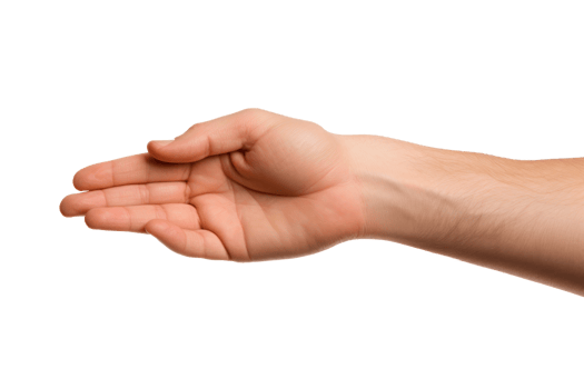 A hand is shown with the fingers spread out. Concept of openness and friendliness png