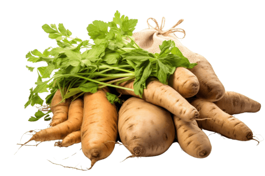 A bunch of vegetables including carrots, potatoes, and celery are piled on top of each other png