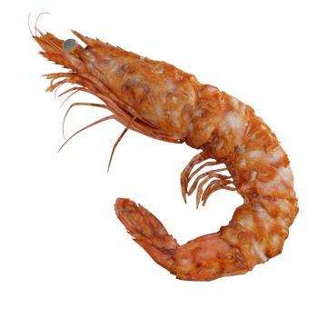 Fried shrimp transparent background png