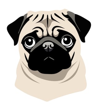 Pug head. Cute pet. isolated illustration vector