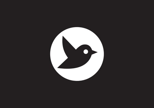 Sparrow and English capital letter logo design vector