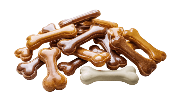 biscuits bones for dog and food treats for pet for clip art and element png