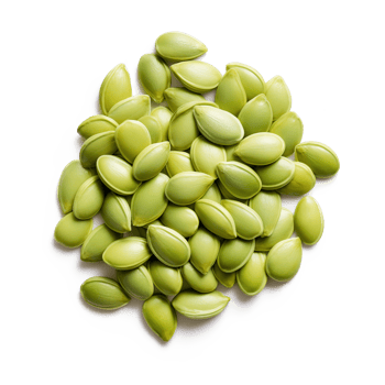 Pumpkin seeds isolated on transparent background. Top view. Flat lay. png