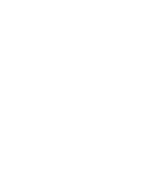Intricate White Snowflake Design png