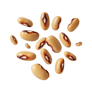 Floating coffee beans on a transparent background png
