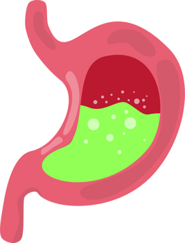 Stomach mag Illustration png