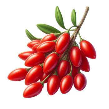 Goji Berry Fruit With Small Elongated Shape png