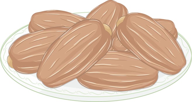 Dates Fruit in Plate vector