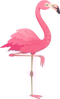 Cartoon flamingo with pink feathers standing on one leg, isolated on white background vector