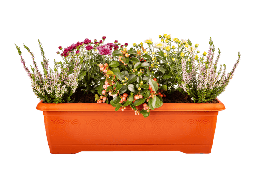 Variety of flowers in pots png