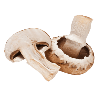 Fresh brown champignon mushrooms png