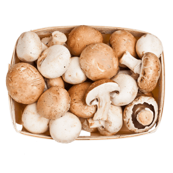 Top view of champignon mushrooms png
