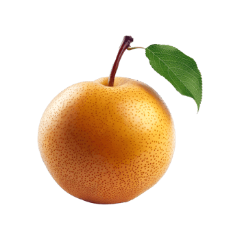 fresh asian pear with leaf isolated on transparent background png