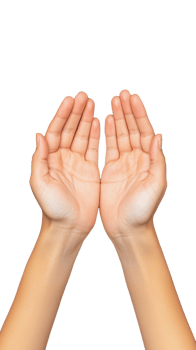 Two cupped hands raised up in offering gesture on transparent background png