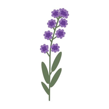 Lavender flower icon illustration vector
