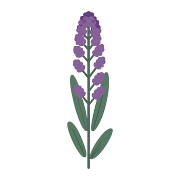 Lavender flower icon in flat style illustration vector
