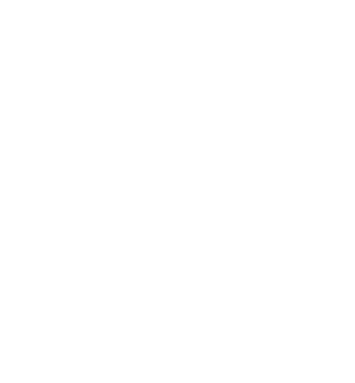 spider web carving png