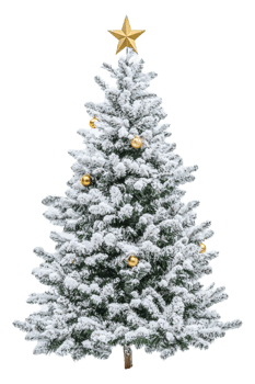 A christmas tree with gold ornaments on top png