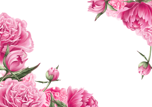 Corners with blooming garden Flowers for Cards and Banners png